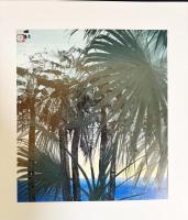 額装版 田中一村色紙傑作選：黒潮の画譜 十二景 全12枚揃