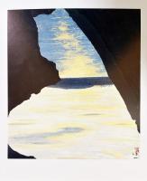 額装版 田中一村色紙傑作選：黒潮の画譜 十二景 全12枚揃