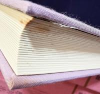 太宰治論集 同時代篇 全11冊揃(全10巻・別巻)