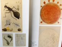 司馬江漢全集 全4巻揃