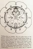 【英語洋書】 悟りへの欲望：仏教と性 『Lust for enlightenment : Buddhism and sex』