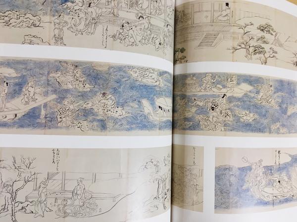 水 : 神秘のかたち(佐々木康之 [ほか] 編集 ; Martha McClintock英訳 