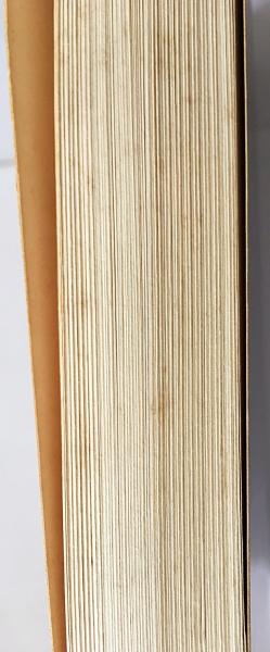 英語洋書 コンスタンチン・メーリニコフ：大衆社会における一人の建築