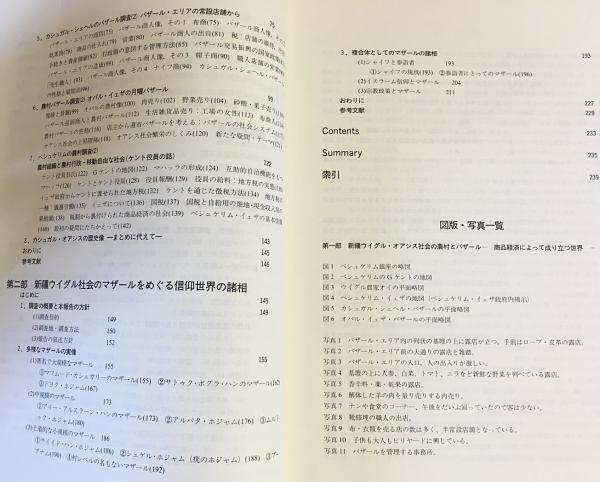 新疆ウイグルのバザールとマザール（イスラム文化研究第70集