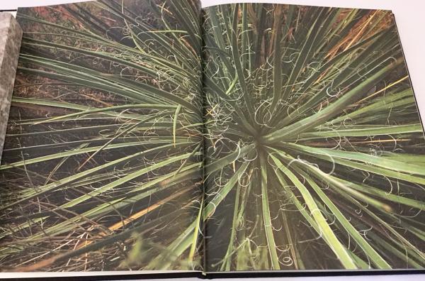陽と骨 HITOHONE 操上和美写真集【2冊組】(操上和美 著