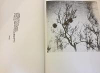 陽と骨 HITOHONE 操上和美写真集【2冊組】(操上和美 著；エンジン