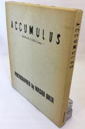 Accumulus : earthwork of fallen leaves　オオタ・マサオ写真集 「落ち葉のアースワーク」