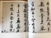 中国書蹟大観 　　上海博物館上・下　書 中国書蹟大観 上海博物館上・下書