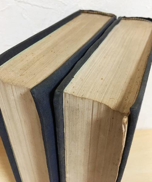 中文書『草書大字典』 上下 2冊揃 | 藝文印書舘 | 藝文印書舘 | ¥2,000