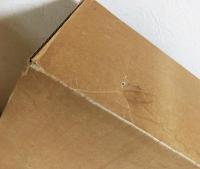 加山又造 裸婦スケッチ【1986 Mar-1987 Jun 作品No.751-No.1000】全5冊