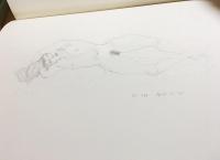 加山又造 裸婦スケッチ【1986 Mar-1987 Jun 作品No.751-No.1000】全5冊