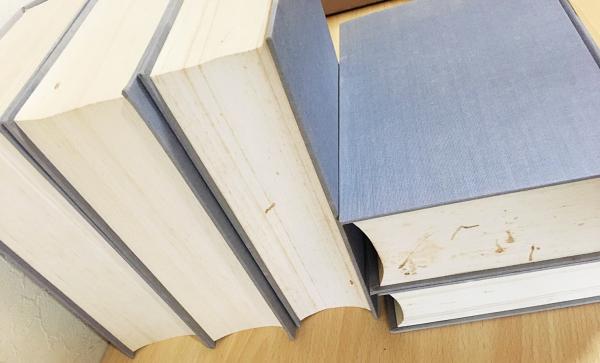 洋書 Mediae Latinitatis Lexicondieval Facciolati, Jacopo / Forcellini, Egidio - Totius Latinitatis