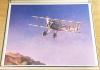 ITH THE AIR:大気とともに【50 WORKS OF KOIKE SHIGEO】小池繁夫 世界