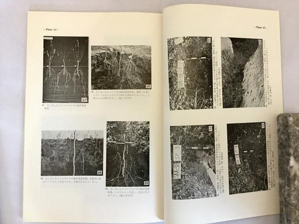 東北地方の荒廃地における早期緑化工法についての試験（林業