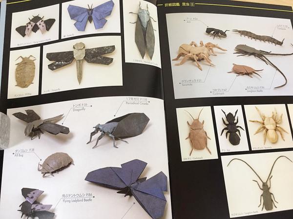 昆虫2 = Origami insects : 折紙図鑑. (ロバート・J・ラング 著 ; 山口 