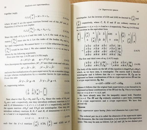物理学の要素 洋書/英語/物理学入門書/オックスフォード大学