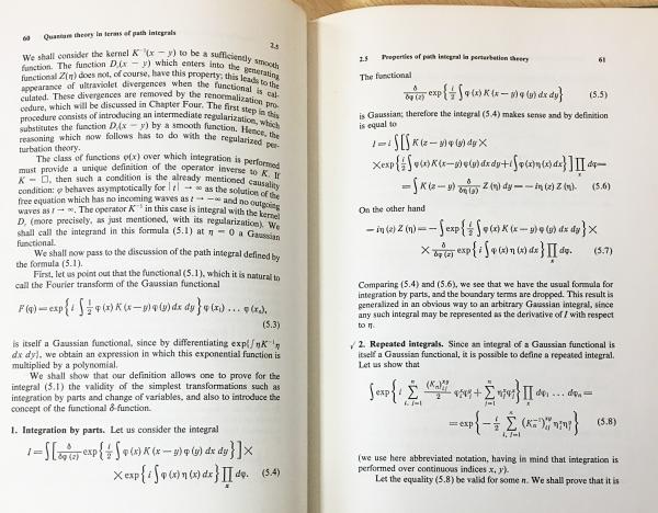 英語物理学洋書 Gauge Fields: Introduction to Quantum Theory