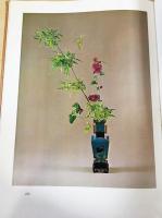 小原豊雲(いけばな小原流三世家元・小原豊雲 著) / 古本、中古本、古