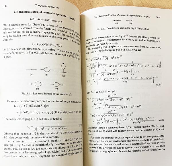 英語物理数学洋書 Renormalization【繰り込み】(John Collins) / 古本 