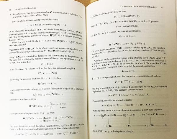 英語数学洋書 Topological Invariants of Stratified Spaces【層