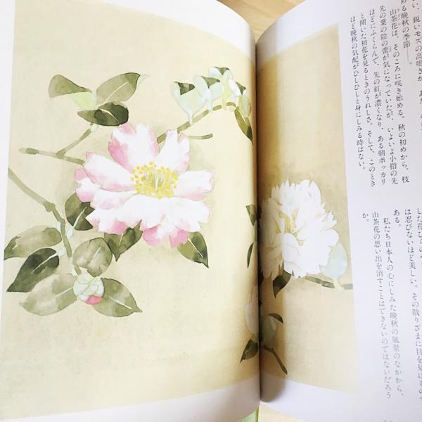 堀文子 画文集 「花」「季」「径」全3集揃 ○直筆署名入 | 堀文子