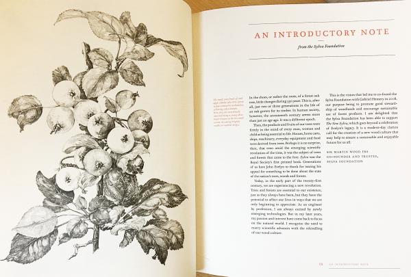 英語洋書 The New Sylva: A Discourse of Forest & Orchard