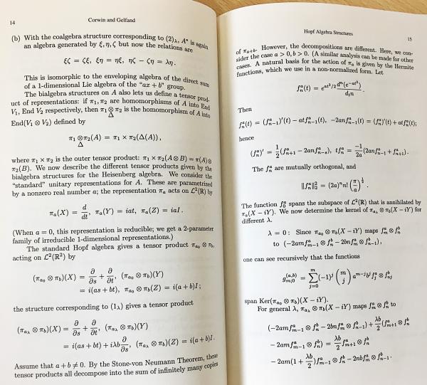 英語数学洋書 The Gelfand Mathematical Seminars 1990-1992 