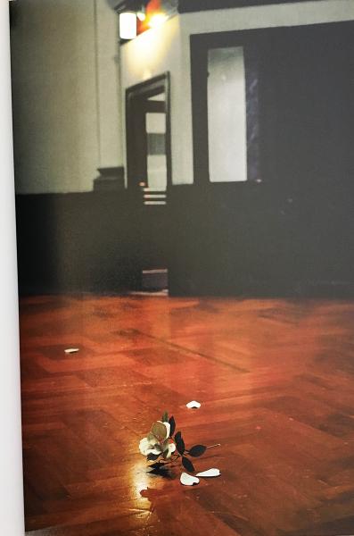 須田悦弘展 = Yoshihiro Suda(須田悦弘 作 ; 千葉市美術館 編