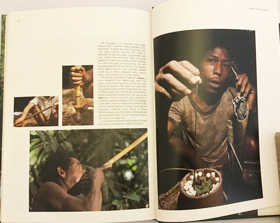 英語洋書】東南アジアの熱帯雨林：絵画の旅『Tropical rain forest in