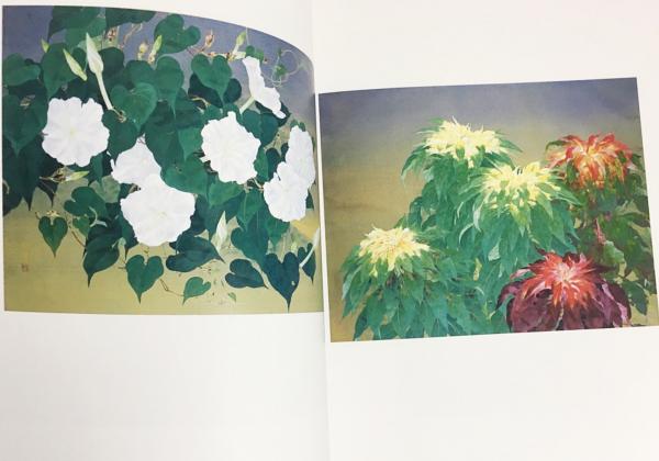 森田りえ子作品集 = Art Works of MORITA Rieko : 1979−2011