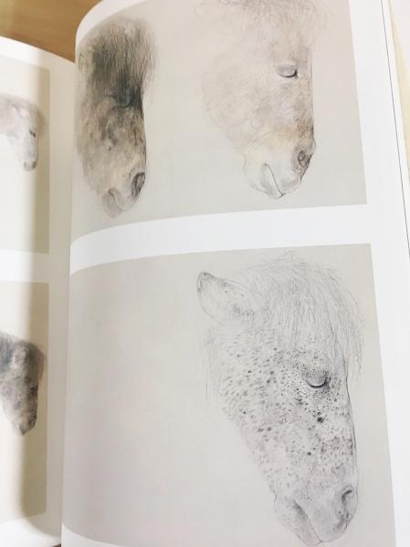 風の暦 : 竹内浩一自選画集(竹内浩一=画 窪島誠一郎 他=文