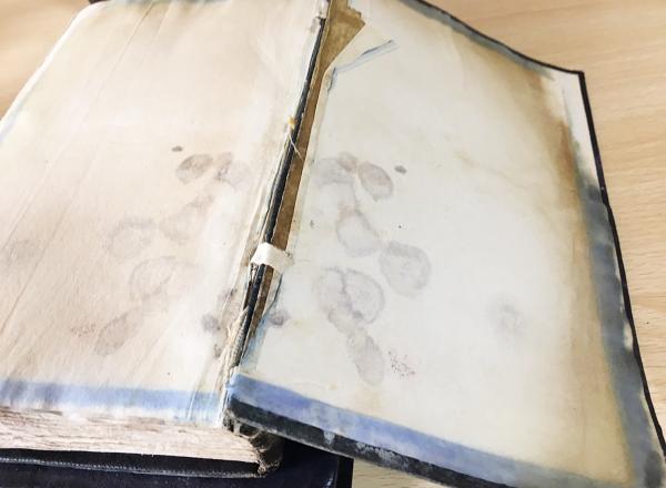 L280 洋書古書　希少　ルイス・スティーブンソンのアンティークブック アンティーク雑貨 フランス ネルソン(NELSON) アンティーク