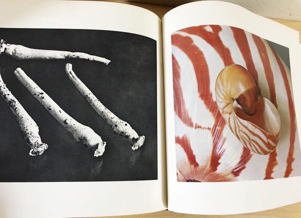 英語洋書 The Shell: Five Hundred Million Years of Inspired