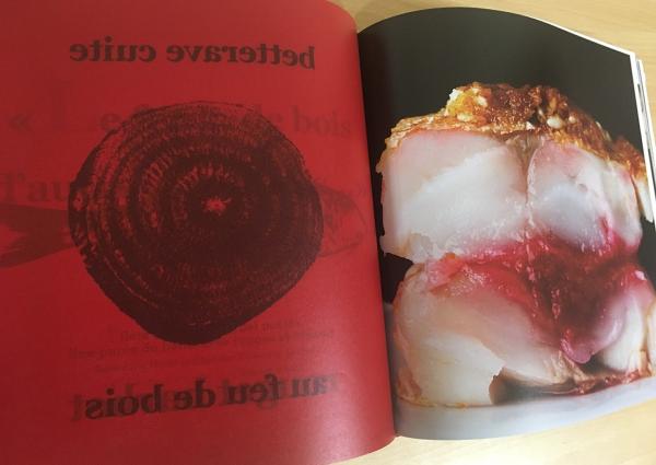 ギィ・マルタンの芸術(ギィ・マルタン=料理 ; 齋藤芳弘=撮影・現像  