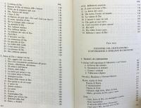 【イタリア語洋書】 祈りの中のイスラム教：イスラムの祈りと瞑想 『Islam in preghiera : preghiere e meditazioni islamiche』