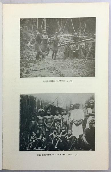 英語洋書 マラヤ連邦の森林で暮らす小柄な先住民族について Among The Forest Dwarfs Of Malaya By Paul Schebesta With An Introduction By Geoffrey Benjamin 古本 中古本 古書籍の通販は 日本の古本屋 日本の古本屋