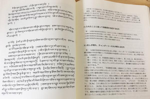 チベットの密教ヨーガ : 『深い道であるナーローの六法の点から