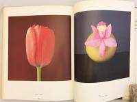 Robert Mapplethorpe / ロバート・メイプルソープ 花◆洋書 3c6fc024f1f6bbb310ca4670dba6b5
