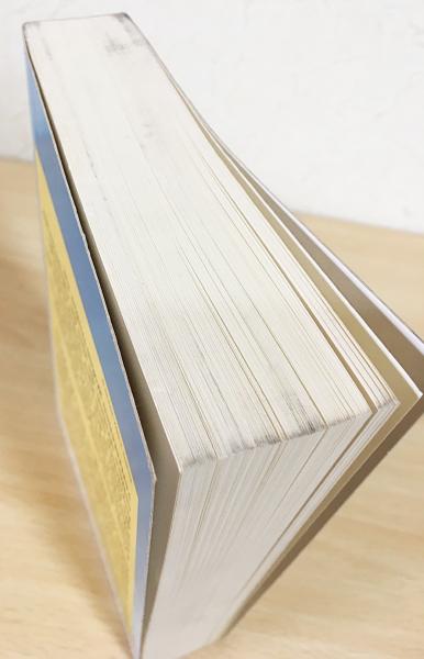 ドイツ語洋書 Physik und Transzendenz 【物理学と超越：奇跡に