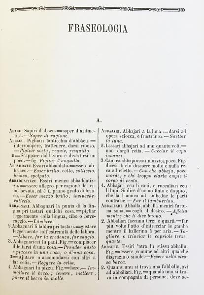 DIB DIZIONARIO DI BASE イタリア語辞典 Amazon.it: DIB. Dizionario illustrato della lingua italiana