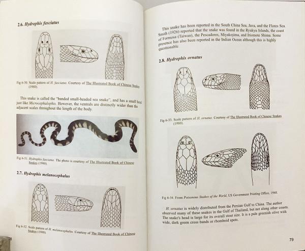 英語洋書 署名入り ウミヘビとその毒 Sea Snakes And Their Venoms 杜祖健 アンソニー トゥー 著 Anthony T Tu 杜祖健 アンソニー トゥー コロラド州立大学 古本 中古本 古書籍の通販は 日本の古本屋 日本の古本屋