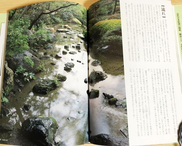 日本人気超絶の 淡交社 cinemusic.net