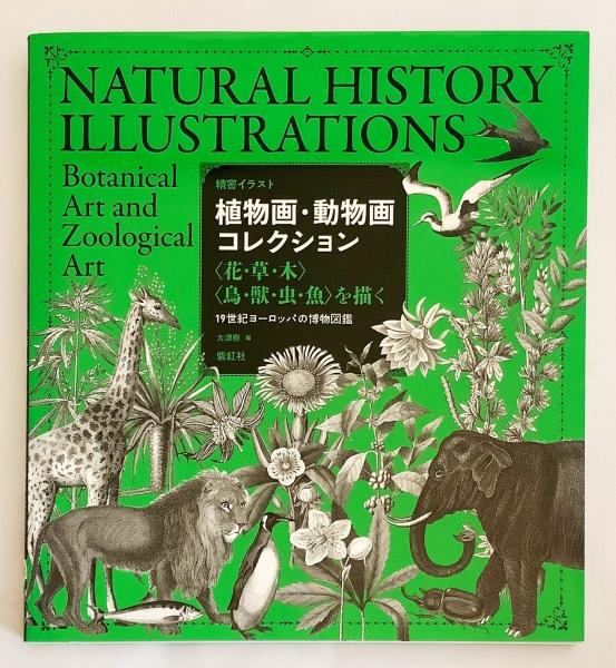 植物画 動物画コレクション 花 草 木 鳥 獣 虫 魚 を描く 19世紀ヨーロッパの博物図鑑 大津樹 編 アブストラクト古書店 古本 中古本 古書籍の通販は 日本の古本屋 日本の古本屋 植物画 動物画コレクション 花 草 木 鳥 獣 虫 魚 を描く 19世紀ヨーロッパの博物図鑑 大津樹 編 アブストラクト古書店 古本 中古本 古書籍の通販は 日本の古本屋 日本の古本屋