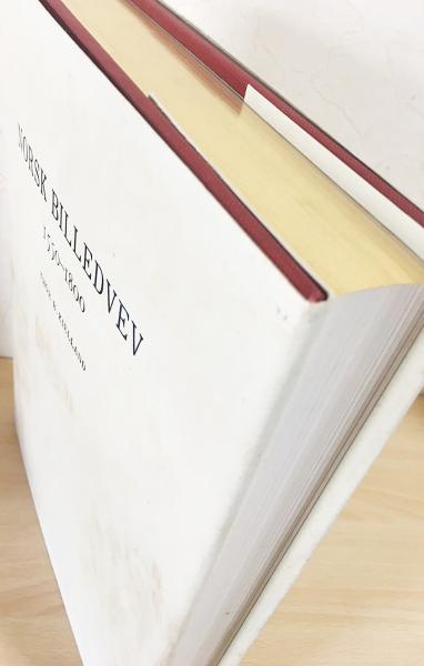Engelsk-Norsk blå ordbok 英語 ノルウェー語　辞書　古書 Engelsk-Norsk blå ordbok 英語 ノルウェー語 辞書 古書