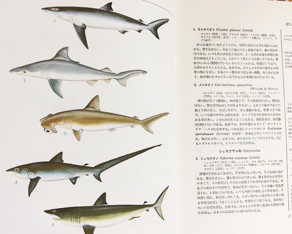 標準原色図鑑全集 全21冊揃（全20巻・総索引） / 古本、中古本