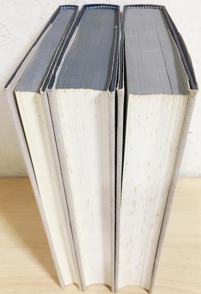 ドイツ語洋書 ハイデッガー全集 3冊セット(既刊96冊の内,Band24