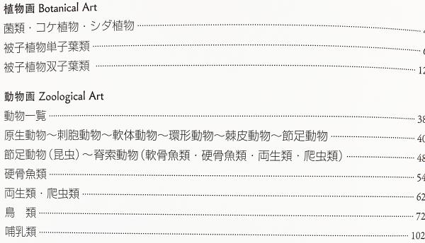 植物画 動物画コレクション 花 草 木 鳥 獣 虫 魚 を描く 美術史のエッセンス 神話 宗教 人間を描く 精密イラスト 2冊セット 大津樹 編 古本 中古本 古書籍の通販は 日本の古本屋 日本の古本屋
