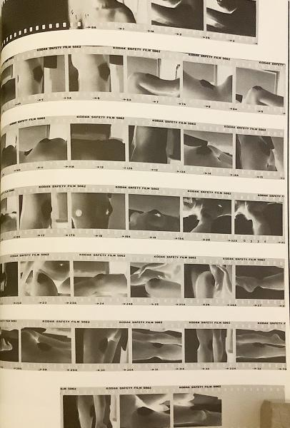 英語洋書 プリントボイス 版画と版画家に関する出版物 Print Voice ジョン ケージ 井田照一 乾由明 他 Edited By Walter Jule ウォルター ジュール 古本 中古本 古書籍の通販は 日本の古本屋 日本の古本屋 英語洋書 プリントボイス 版画と版画家に関する出版物 Print Voice ジョン ケージ 井田照一 乾由明 他 Edited By Walter Jule ウォルター ジュール 古本 中古本 古書籍の通販は 日本の古本屋 日本の古本屋