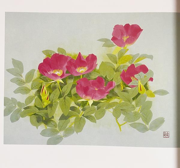 花の譜 : 松岡政信画集(松岡政信=著；吉田光邦・原田平作=序文) / 古本