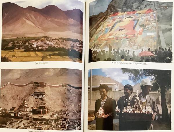 英語・チベット語洋書】 チベット便覧：言語と文明：標準的なチベット